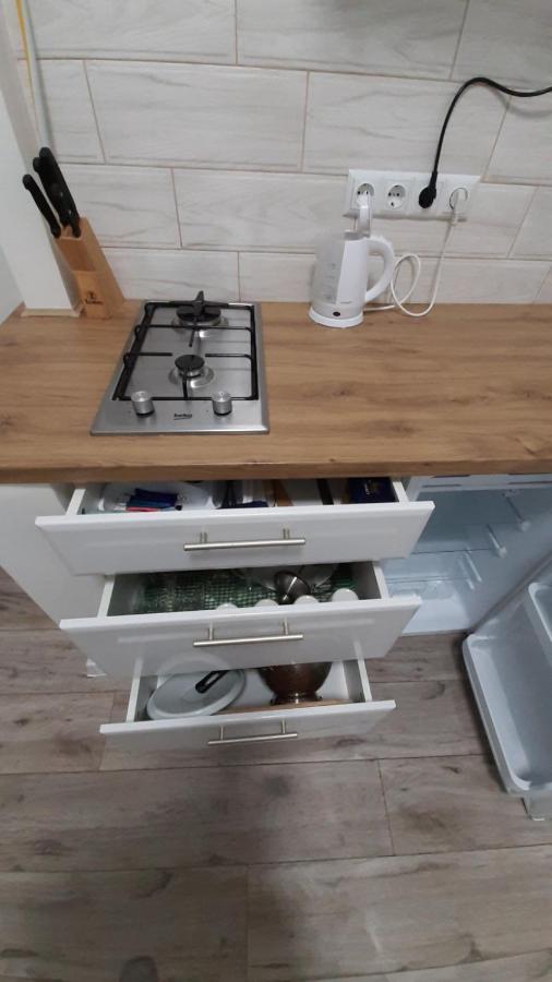 Transfer Apartament І.Franka 59 Lviv Extérieur photo